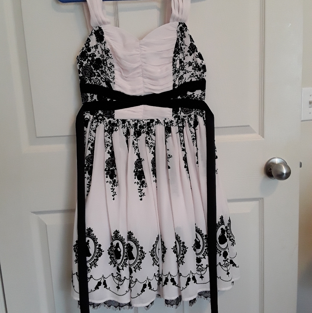 Dress  with princess silhouettes. Prom or party.